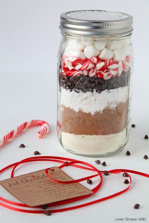 Mason-Jar-Gift-Ideas-14-300x450