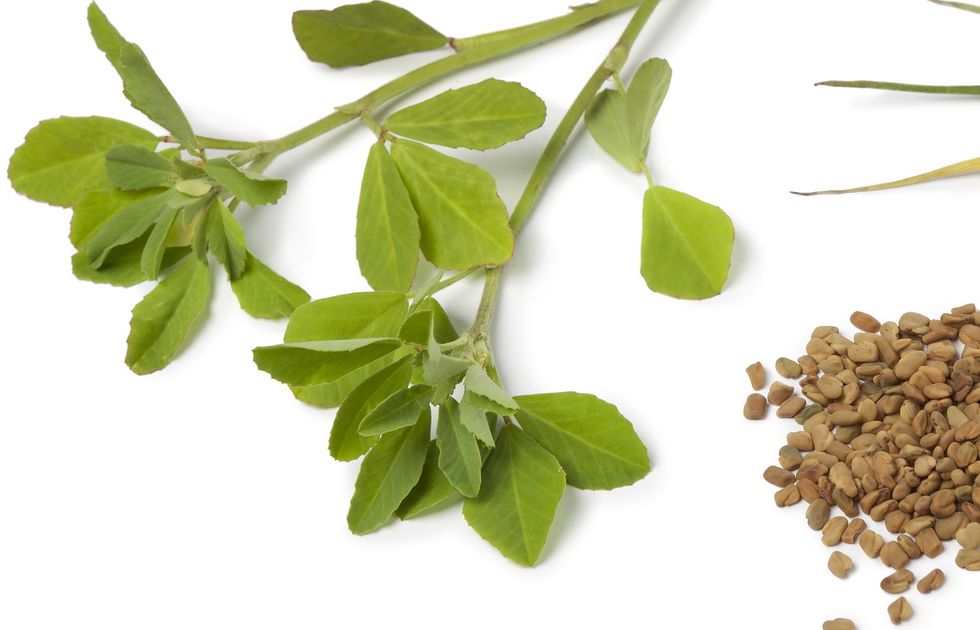 Fenugreek leaves,pods and seeds on white background