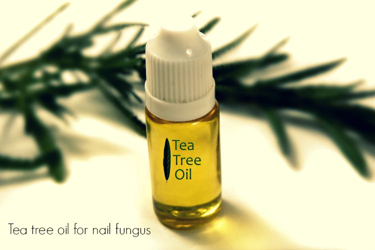 tea-tree-oil1