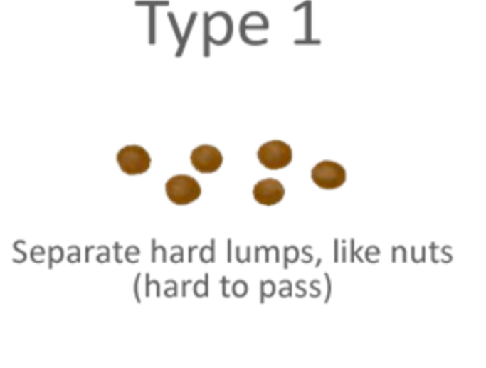 4k8v3obxeoadpvjxmp68