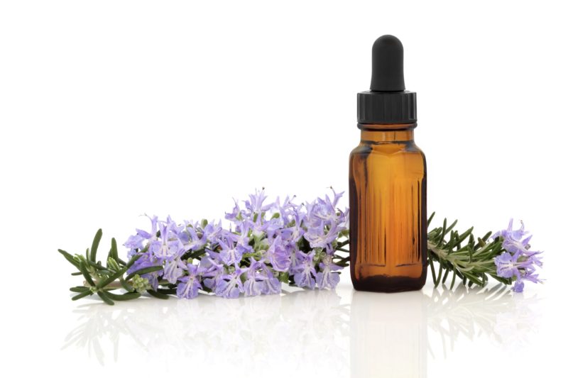 Rosemary herb flower and leaf sprig with aromatherapy essential oil glass bottle, isolated over white background.