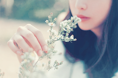 white_flower_by_cafeine_toism-d31q72z