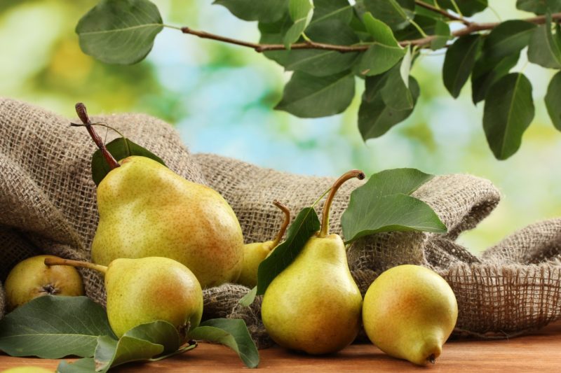 Health-benefits-of-pears