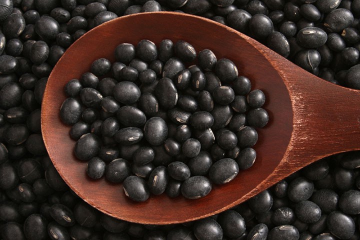 BlackSoyBean-720