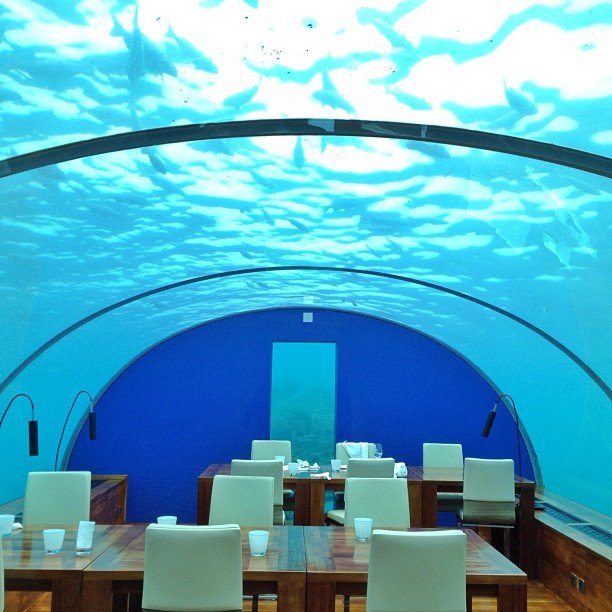 Eat-Underwater-Restaurant