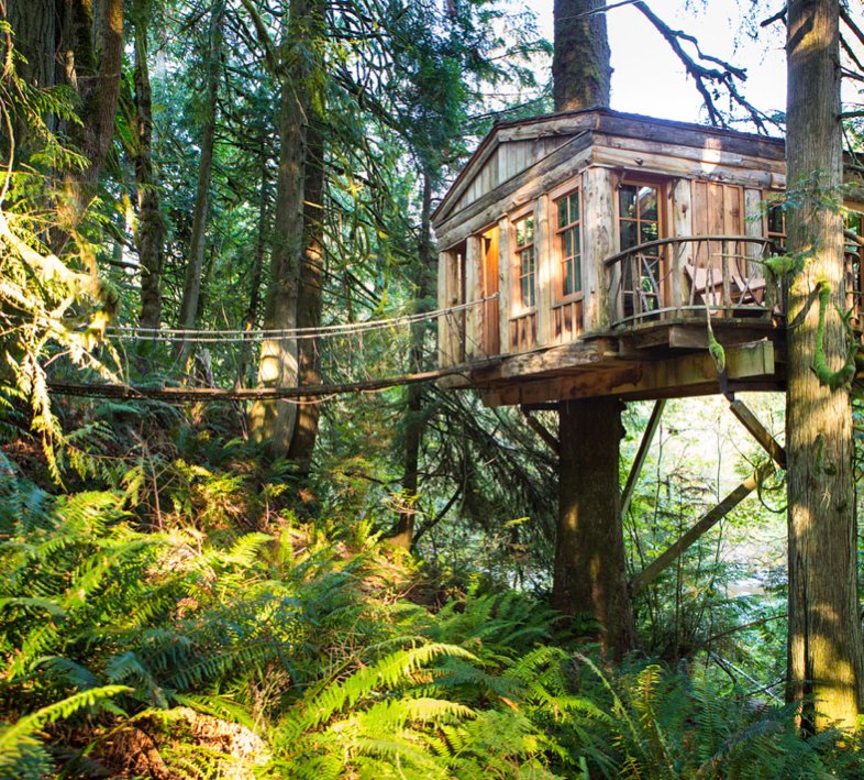 Spend-Night-Tree-House