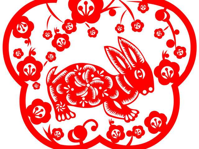 b6203f5e-dfa8-4564-88d0-4d39eef608af