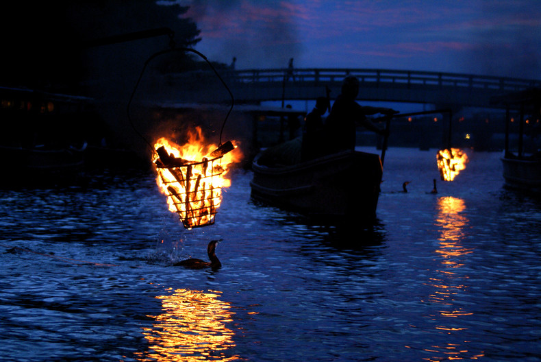 uji-fishing-by-night-5009-195