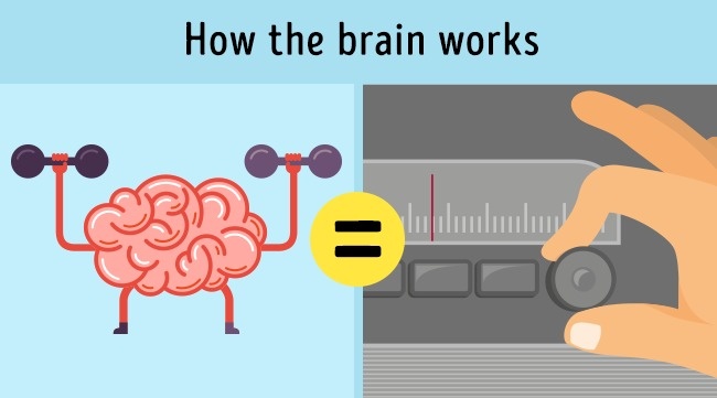 การทำงานของสมอง