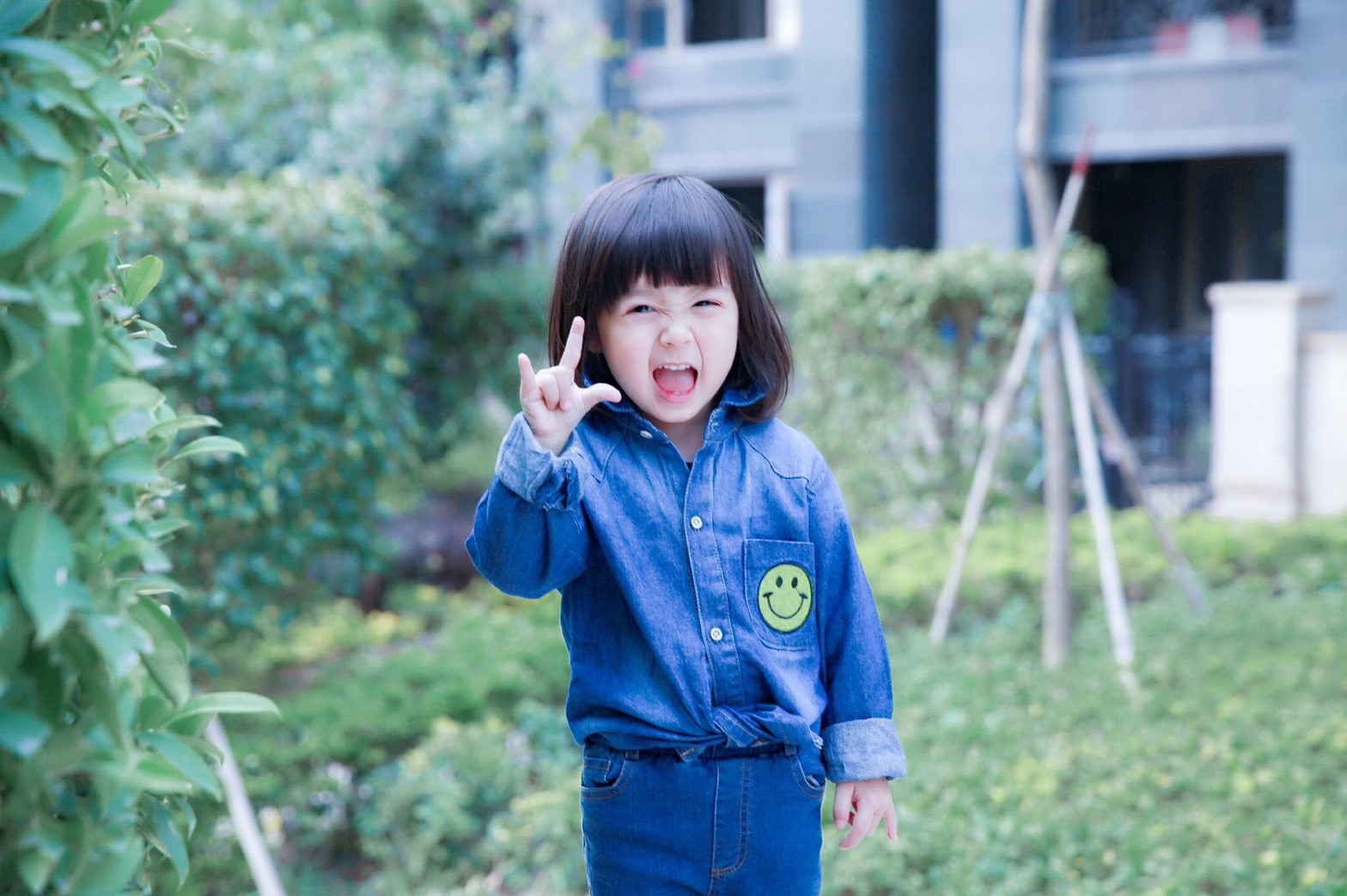 25600914_170915_0025