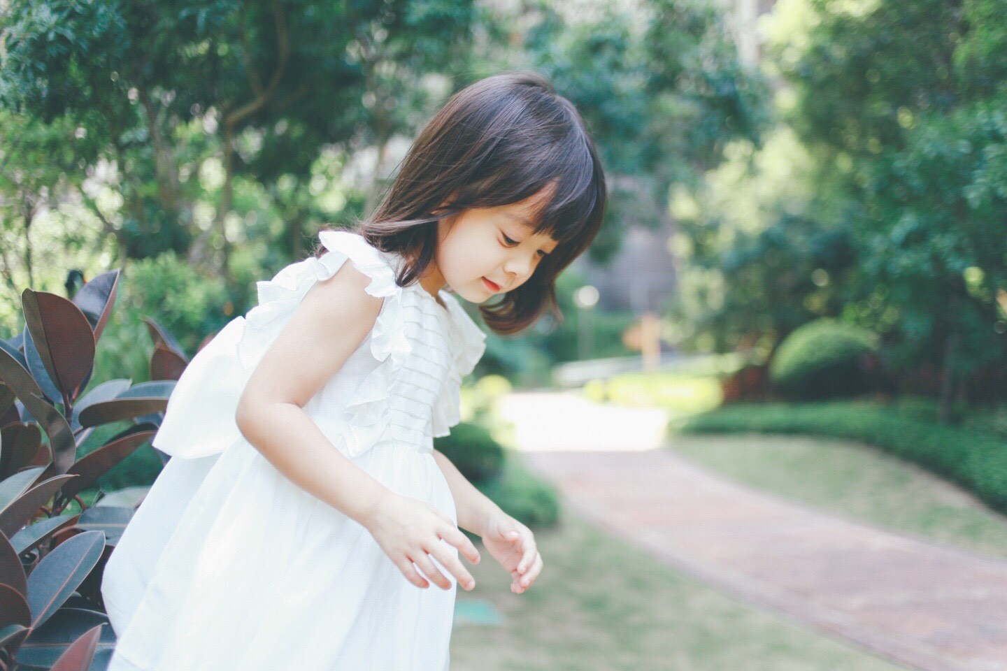 25600914_170915_0248