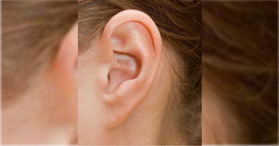 6. Triangular earlobes