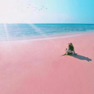 pinkbeach14