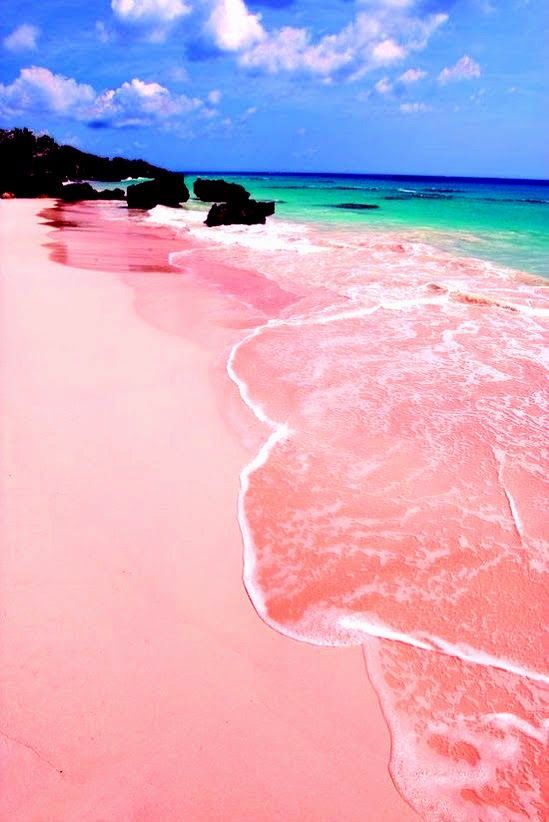 pinkbeach29