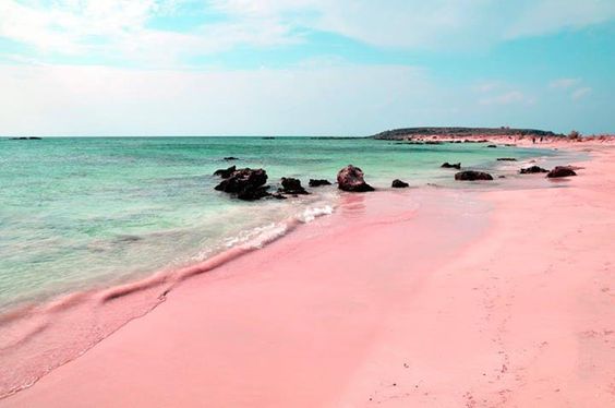 pinkbeach3