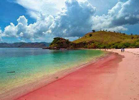 pinkbeach30