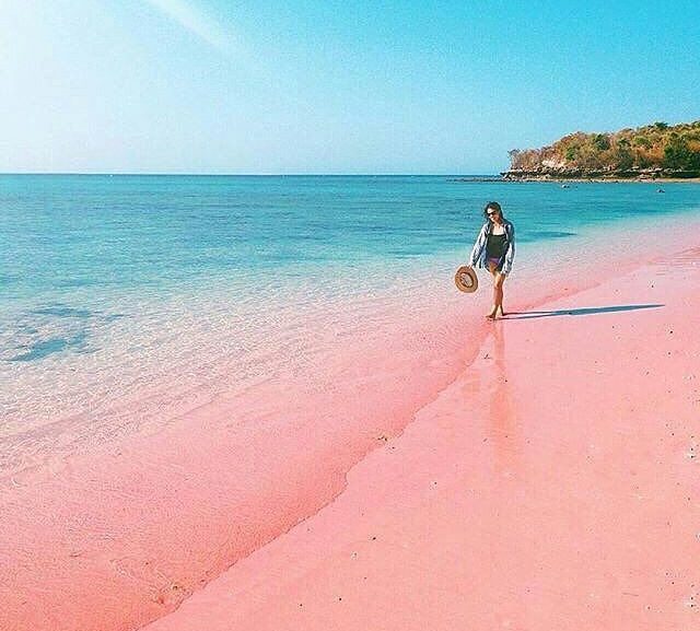 pinkbeach31