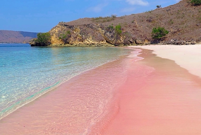 pinkbeach33