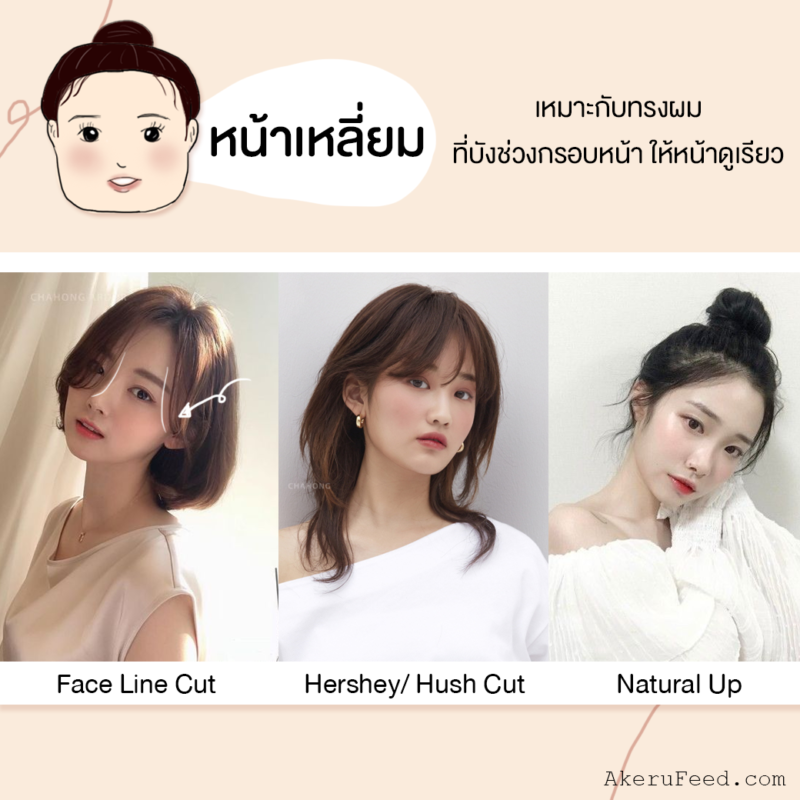 เปิดเคล็ดลับ! เลือกทรงผมให้เหมาะกับรูปหน้า จากช่างผมเกาหลี – Akeru