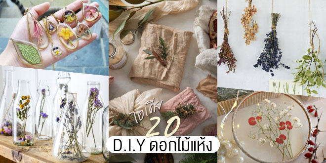20 ไอเดีย D.I.Y ทำดอกไม้แห้ง ของตกแต่งบ้านก็ดี หรือเป็นของขวัญก็น่ารัก –  Akeru