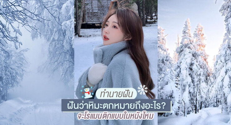 Dream Snow