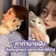 6-dream-about-kitten