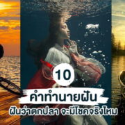 fishing dream interpretation